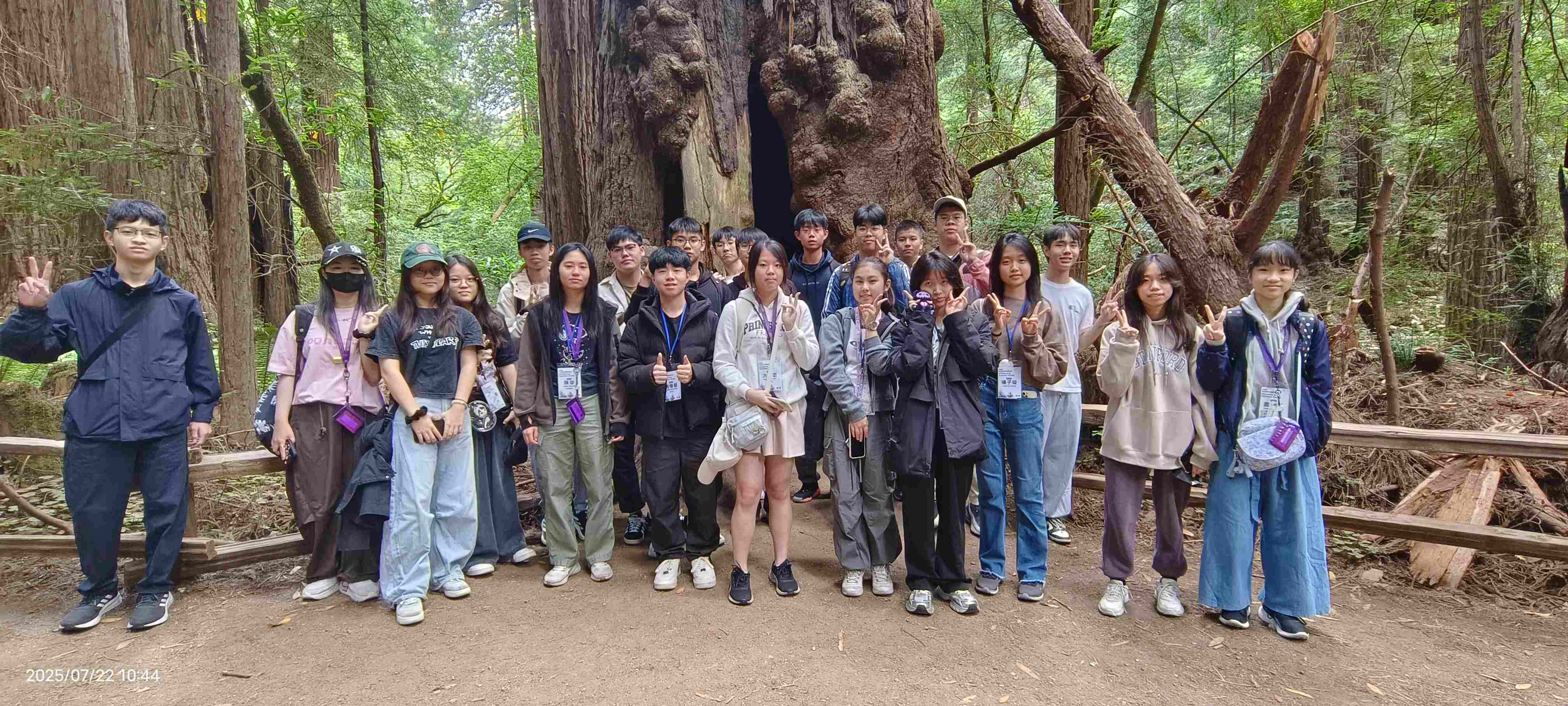 20250722 探訪穆爾紅木國家森林公園 (1)