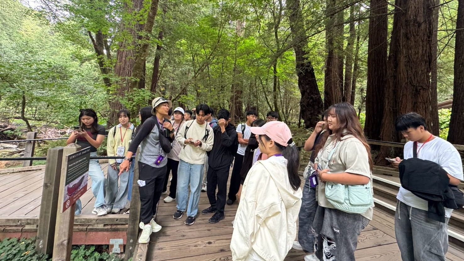 參訪穆爾森林國家公園